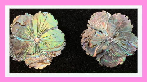 Abalone Flower Windy Weights Dress Weight Set