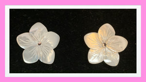 WindyWeights: Pamela White Mother of Pearl Flower